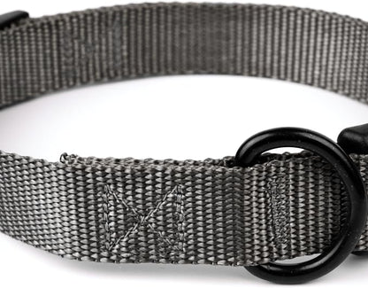 Country Brook Petz - Everyday Nylon Dog Collar and Leash - 10+ Cool Colors (1 Inch, Large, Charcoal)