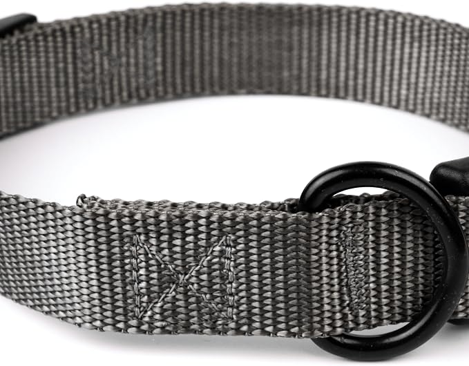 Country Brook Petz - Everyday Nylon Dog Collar and Leash - 10+ Cool Colors (1 Inch, Extra Large, Charcoal)