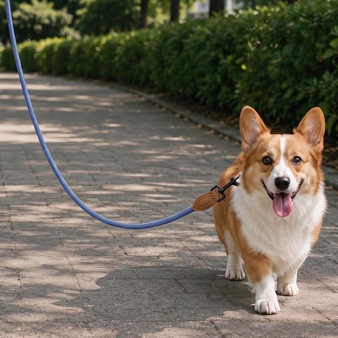 Mile High Life Rope Leash with Genuine Leather Connection, 6 FT/5 FT/4 FT, Heavy Duty Leash for Medium & Large Dogs (Blue White, 48 Inch)