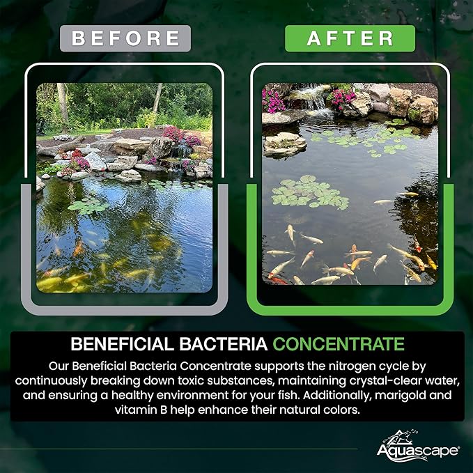 Aquascape Dry Beneficial Bacteria for Pond and Water Features, 8.8 Ounce (Pack of 1), 98948 , white