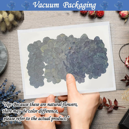 ALJ Blue Dried Flowers Double Hydrangea for Resin Crafts Embellishments, 60PCS Natural Pressed Flowers for Resin Jewelry DIY Phone Case Decor Candle Making Decoration