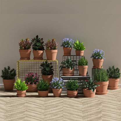 Fcacti 6 Pack Terra Cotta Pots with Saucer, 4.5 Inch Clay Planters for Indoor/Outdoor Plants, Drainage Hole, Succulent, Cactus, Flower Pots