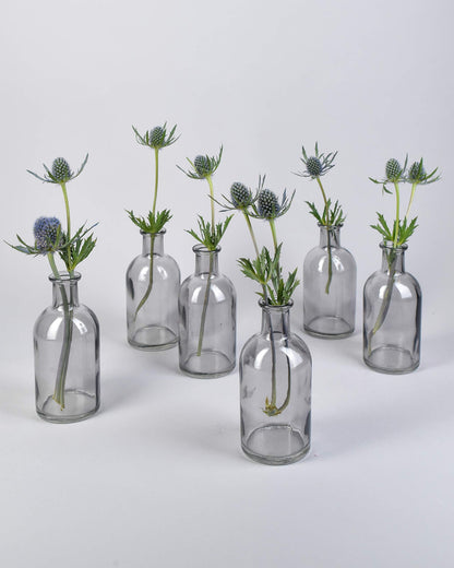 Bud Vases, Apothecary Jars, Decorative Glass Bottles, Centerpiece for Wedding Reception, Elegant Antique Decoration, Mini Flower Vases, Small Medicine Bottles for Home Decor (Smoke Gray, Set of 6)