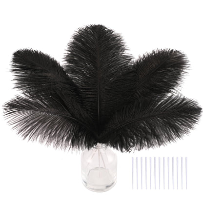 SOGUGOM Black Craft Ostrich Feathers - 30PCS 8-10 inch Ostrich Feathers Kit for Centerpieces, Kindergarten Crafts, Dream Catchers and DIY Projects(Black)
