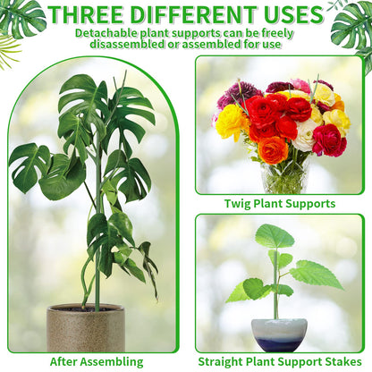 ROADPLUM 5 Pack 27.56" Detachable Twig Plant Support Stakes Set, Blends in to Plant, Branch Plant Sticks with Orchid Clips Twist Plant Ties, Twig Trellis for Indoor Outdoor Plants Potted Plants Flower