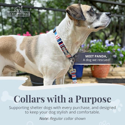 Lucky Love Dog Martingale Dog Collar - Adjustable, No-Slip, Durable, & Soft Webbing Collar for Male and Female Dogs Ideal for Training & Walking - Linus, Small