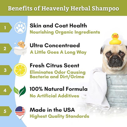 Wholistic Pet Organics Pet Shampoo Concentrate: USDA Organic Cat and Dog Shampoo for Sensitive Skin and Coat Support - Mild and Non-Irritating, Natural, Non-Toxic, Sulfate-Free, & Cruelty-Free - 16 Oz
