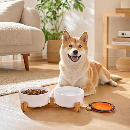 Petygooing Dog Bowls,White Ceramic Cat Dog Bowl Set with Wood Stand for Food and Water Feeder, Modern Pet Dish Set for Cats and Small Size Dogs Puppy (13.5OZ/5.1 in)