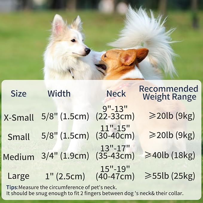 Mile High Life Genuine Leather Dog Collar, Durable Braided Cotton Rope Collar with Metal Pin Buckle for Small Medium Large Dogs (Red, L Neck 17"-21")