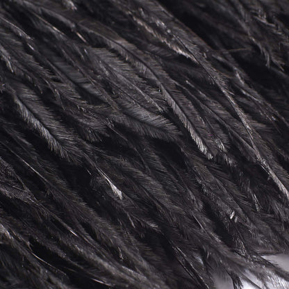 Natural Ostrich Feather Fringe Trim - Feathers Sewing Crafts Decor for Dress Costume 4-6 inches 2 Yards Erikord(Black)