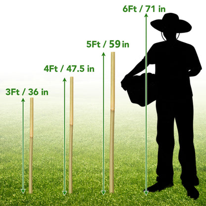 Taoskai 60Pcs Bamboo Stakes for Plant 3 Feet, Garden Bamboo Plant Stakes for Plants Support, Climbing Plants, Tomatoes, Sunflowers, Beans, Potted Plants, Trees