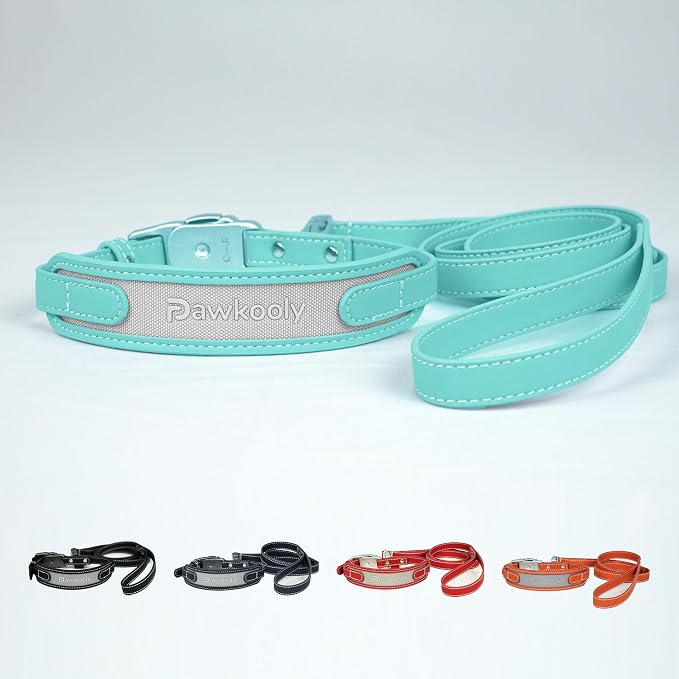 MagEase Dog Collar with 4FT Leash | Adjustable | Anti-Wrinkle, Bite & Stain-Resistant Leather | Soft & Skin-Friendly | 450LB Escape-Proof Magnetic Buckle (Light Blue, Extra Large)