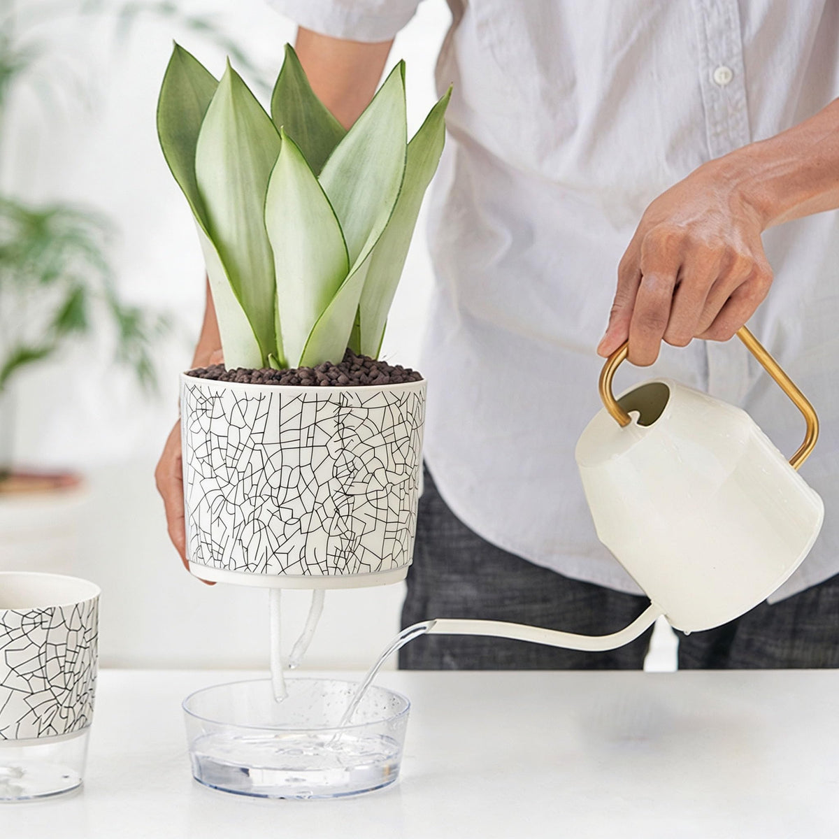 XKYQSY 3 Pack 4.3+5.5+6.3 Inch Self Watering Pots Set, Self Watering Planter with Reservoir and Wick Rope for Indoor/Outdoor Plants, Modern Houseplants Pots for African Violets,Cactus,Herbs,Succulents