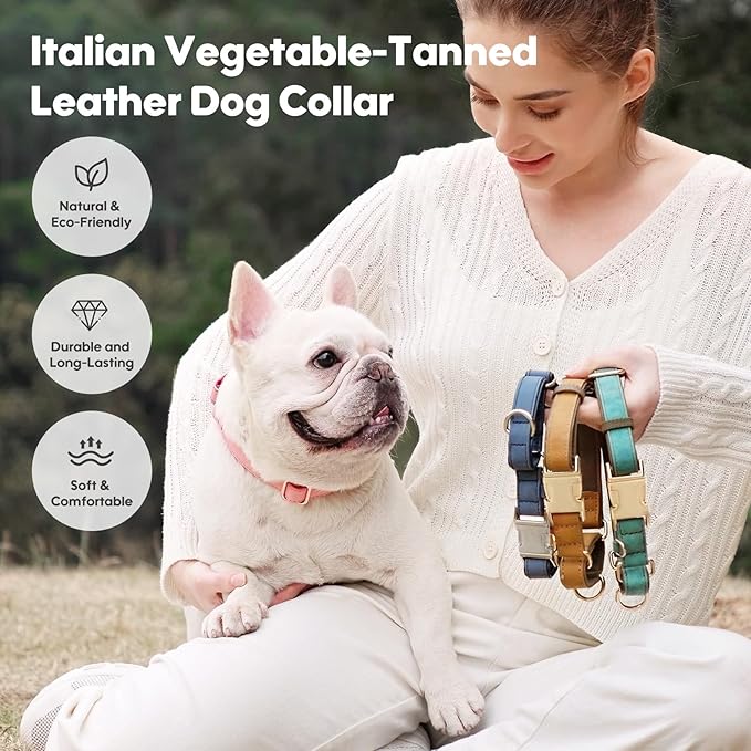 WHIPPY Vegan Leather Dog Collar No Slip Martingale Dog Collar with Quick Release Metal Buckle for Large Medium Small Dogs,Pink