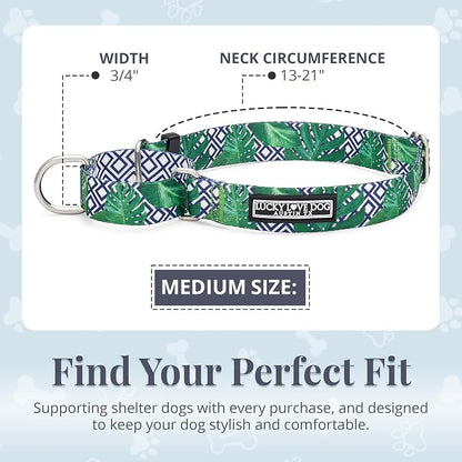 Lucky Love Dog Martingale Collar, Premium No Slip Martingale Collar for Medium Boy Dogs, Great for Whippets, Greyhounds, and More (Medium, Blue Laguna)