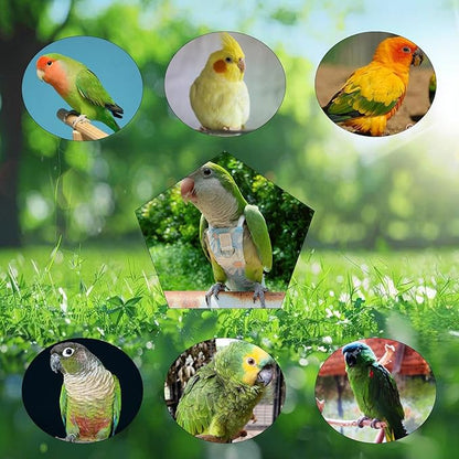Snap-Closure Parrot Diapers with Adjustable Leash - Washable Bird Flight Suits for Cockatiels, Sun Conures & Quaker Parrots Secure & Chew-Resistant (M – Little Sun/Budgie + 1m Rope)