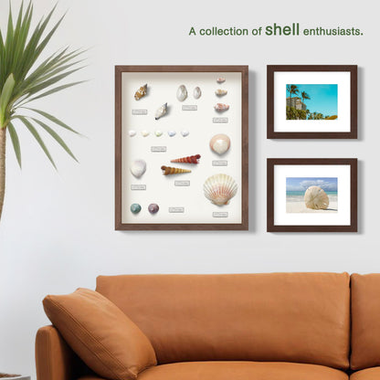 FrameWorks 11x14 Driftwood Wooden Shadow Box Frame – Soft Felt Back, Tempered Glass, and Included Elegant White Ball Push Pins