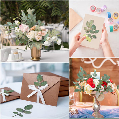 Fabbay 200 Pcs Real Dried Pressed Green Leaves Natural Rose Flower Dried Leaves Plant Greenery for Resin Art Arrangements Home Wedding Bouquets DIY Crafts Decors Card Scrapbooking