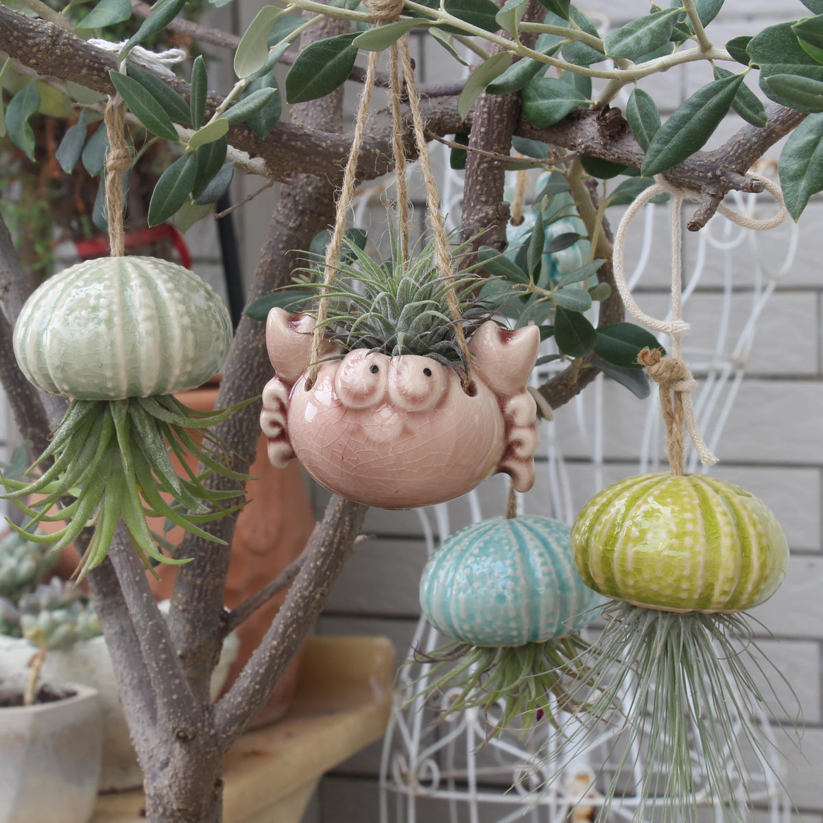 Gniliny Ceramic Crab Air Plant Holder - Cute Succulent Tillandsia Stand, Mini Desktop Airplant Display Decoration for Home Office Windowsill, Small Plant Pot for Indoor Plants