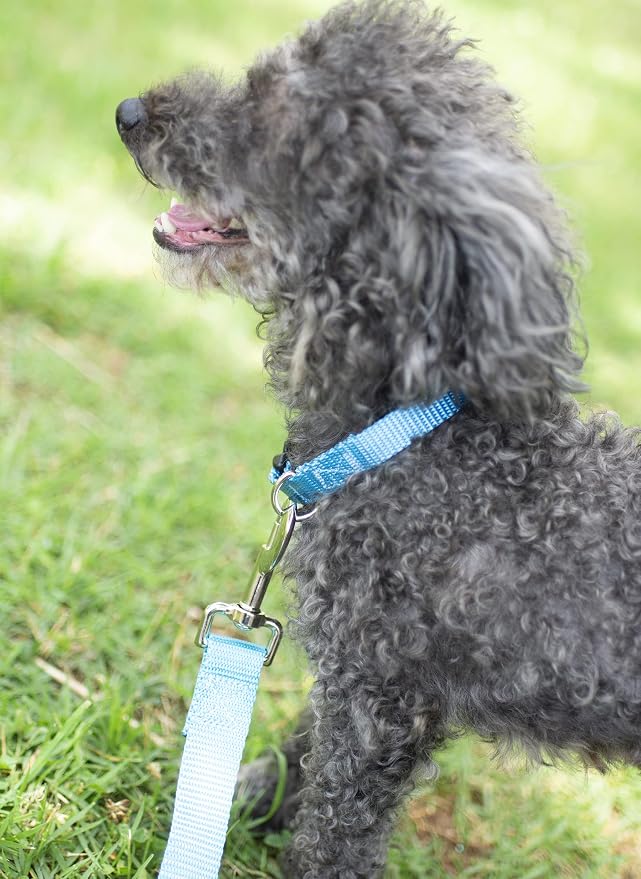 Country Brook Petz - Deluxe Nylon Dog Collar and Leash - 10+ Cool Colors (1 Inch, Extra Large, Ice Blue)