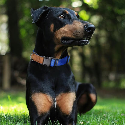 Mile High Life Genuine Leather Dog Collar, Soft Cotton Pet Collars with Heavy Metal Buckle for Small Large Dogs (Blue, M Neck 15"-18")