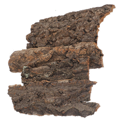 balacoo Reptile Bark Climbing Tree Decor 9.05In Natural Cork Wood Terrarium Accessories Reptile Hideout for Snakes Lizards Tortoise Habitat