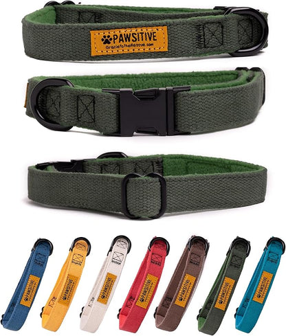 Pawsitive Hemp Dog Collar - Super Soft Hypoallergenic Lining. Great for Small, Medium and Large Dogs; Medium Forest Green
