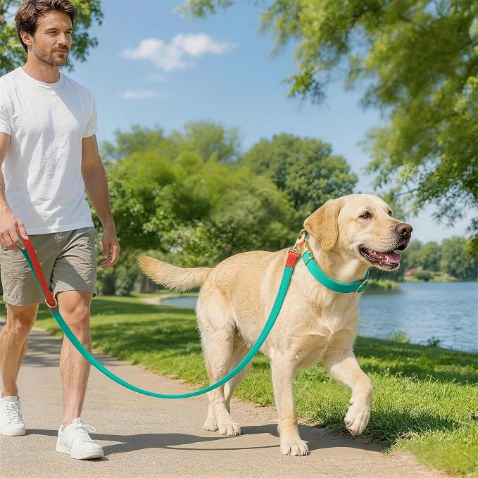 Dog Collar and Leash Set with Metal Quick Release Buckle, Adjustable, Breathable Nylon, Durable, Soft and Comfortable, No Pull for Walking and Training, Cyan, L (14.9"-22.8")