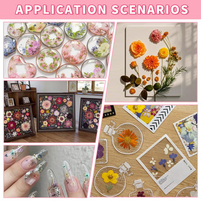Natural Dried Pressed Flower Kit for DIY Crafts – Assorted Real Flowers & Leaves with Tweezers for Resin Art, Scrapbooking, Jewelry Making, Nail Art, and Home Décor