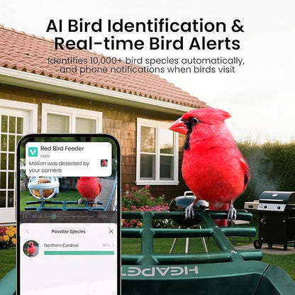 Smart Bird Feeder with Camera, 3K HD Live Stream, AI Species Identification, Solar Powered, Instant Motion Alerts, IP65 Weatherproof Outdoor Gifts for Bird Lovers, Green