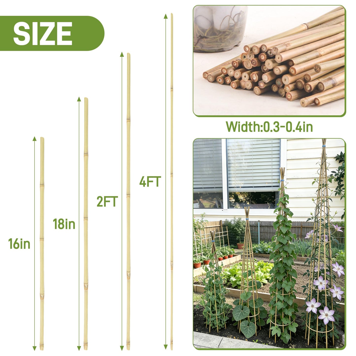 0.32”-0.4"/ 4 Feet Garden Stakes, Natural Bamboo Sticks Plant Stakes for Indoor and Outdoor Plants，Poles for Tomatoes, Beans, Potted Plants(50Pcs)