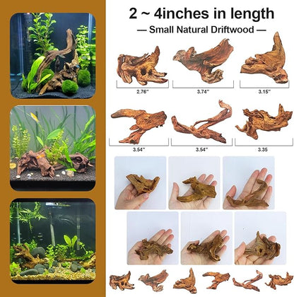 Natural Driftwood Decor for Aquarium Decorations Reptile Tank Accessories, Assorted Wood Branches Decorations on Reptile Fish Tank 2-10" 2 Pcs/4 Pcs/ 5 Pcs/ 6 Pcs (Pack of 6 (2 to 4 Inch))