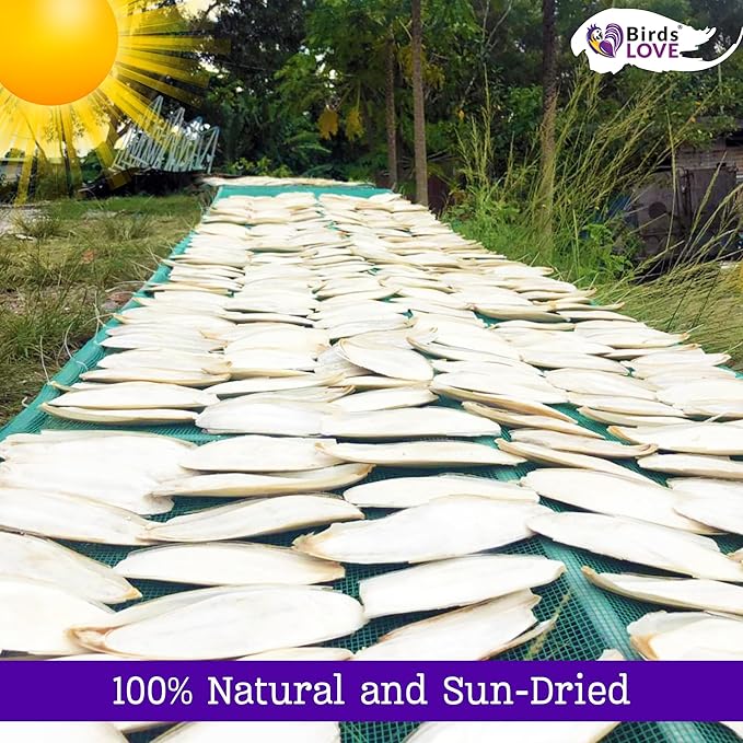 Birds LOVE 7.5-8" Cuttlebone for Birds – 100% Natural Sun-Dried Calcium Carbonate Mineral Supplement – for Parakeets, Budgies, Cockatiels, Finches & Canaries – 2 Pack with Holder – Made in Vietnam