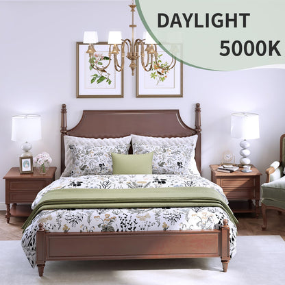 evelor 6-Pack A19 LED Light Bulbs,60 Watt Equivalent Daylight 5000K with E26 Base,Efficient 9W,800 Lumens Non-Dimmable LED Bulbs,15000 Hours, Ideal for Bedroom Living Room