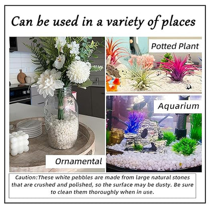 CJGQ 7lb 1/4" Small White Rocks for Plants,Potting,Succulents Aquarium Fish Tank Garden Vases Decorative Pebbles Gravel Rocks Stones