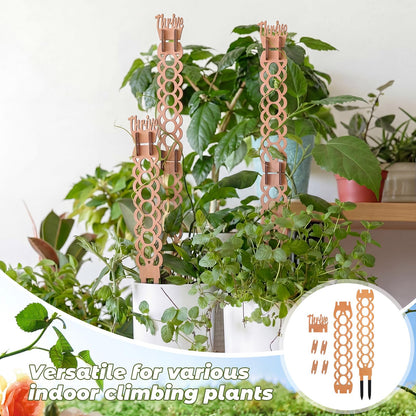 Otoolling 6 Sets Wooden Extendable Plants Trellis Indoor Modular Plant Trellis with Wood Thrive Sign Decor and Extensions for Outdoor Climbing Houseplants Vine Flower Stem (Ring)