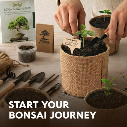 AVERGO Bonsai Tree Kit Deluxe - 5X Unique Japanese Bonzai Trees | Complete Indoor Bonsai Starter Kits from Seeds to Trees – DIY Gardening Gifts for Mother, Women & Men