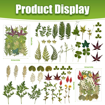 110+ Pcs Dried Flowers Leaves for Crafts, Real Pressed Flowers Dry Leaves for Resin Scrapbooking DIY Art Crafts Epoxy Resin Jewelry Mold Candle Soap Making Nails Décor