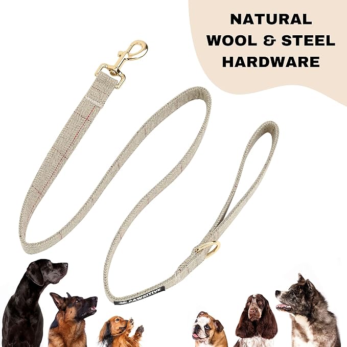 Pawsitive Wool Dog Collar - Hypoallergenic Dog Collar, Great Dog Collar for Sensitive Skin, Soft Collar for Dogs, Soft Organic Dog Collar Eco-Friendly (Medium, Beige and Leash)