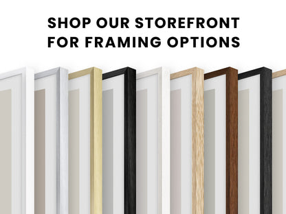 HAUS AND HUES Beige Oak Wood 11x14 Picture Frame - Modern Wood Wall Art Display - Lightweight 11x14 Frame for Art Prints, Photos, Posters - Ready-to-Hang Vertically & Horizontally (Set of 6)