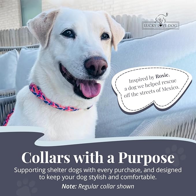 Lucky Love Dog Martingale Dog Collar - Adjustable, No-Slip, Durable, & Soft Webbing Collar for Male and Female Dogs Ideal for Training & Walking - Rosie, Medium