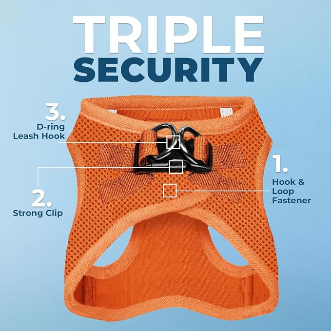 Best Pet Supplies Voyager Step-in Air All Weather Mesh Harness and Reflective Dog 5ft Leash Combo with Neoprene Handle, for Small, Medium and Large Breed Puppies - Set (Orange), XXX-Small