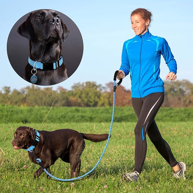 Ladoogo Reflective Dog Collar Padded with Soft Neoprene Breathable Adjustable Nylon Dog Collars for Small Medium Large Dogs (Large (Pack of 1), Vivid Blue Collar+Leash)