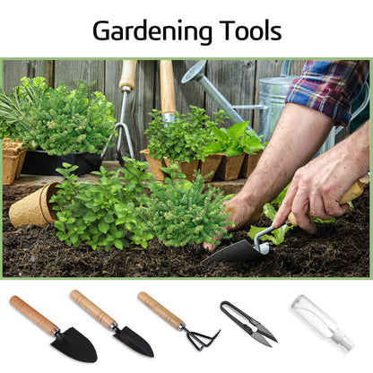 Indoor Herb Garden Starter Kit, Including A Complete Gardening Tools for Women Parents Gift