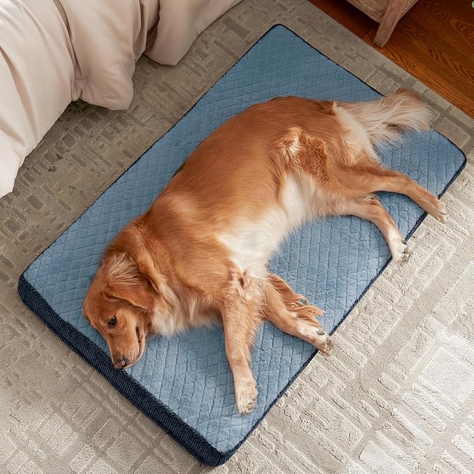 JOEJOY Orthopedic Dog Bed for Large Dogs, Washable Dog Crate Bed Large Sized with Removable Cover, Egg Memory Foam Big Pet Beds, Blue, 35"x22"