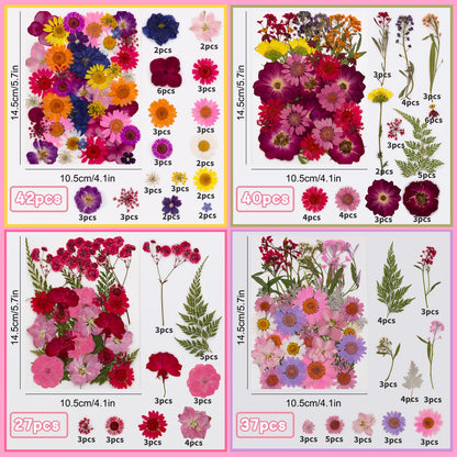 Natural Dried Pressed Flower Kit for DIY Crafts – Assorted Real Flowers & Leaves with Tweezers for Resin Art, Scrapbooking, Jewelry Making, Nail Art, and Home Décor