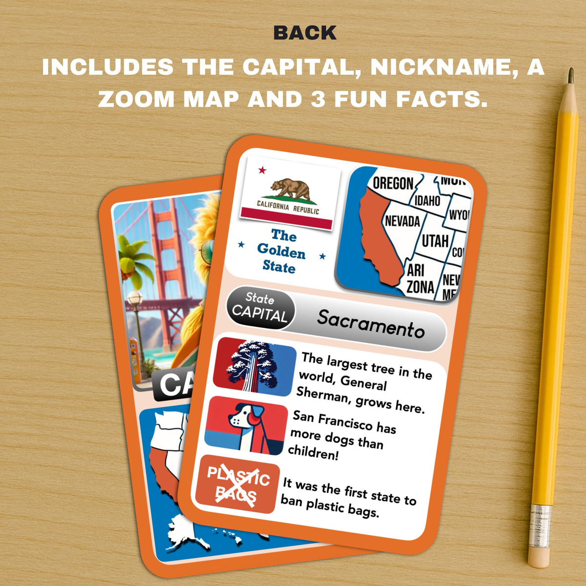 States Explorer – USA State Flashcards for Kids Ages 6+ | 50 United States Cards with Fun Facts, Capitals, Maps & Characters | Educational Geography Game | Perfect for Homeschool, Classroom & Travel
