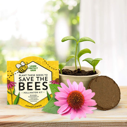 BUZZY Seeds Save The Bees Grow Kit, 12 Biodegradable Mini Flower Pots with Wildflower Seed Packets, Indoor Outdoor Planting Starter Set, DIY Gardening Gift, Sustainable Party Favors Adults