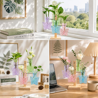Nacome Plant Terrarium Propagation Stations: Colored Vase with Wooden Stand