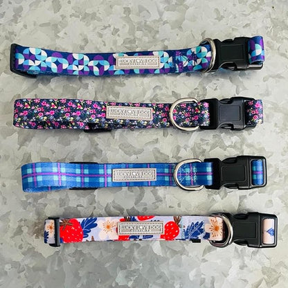 Lucky Love Dog - Adjustable Dog Collar with Easy Click Buckle for Small Dogs, Durable, & Comfortable for Male & Female Dogs, Pet Collar for Puppies & Adult Ones - Jasper, Small